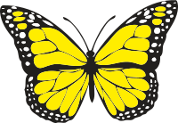 Butterfly 1 (colour)