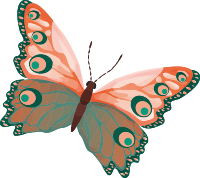 Butterfly 2 (colour)