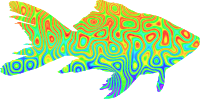 Psychedelic goldfish