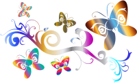 Butterflies Flourish Enhanced