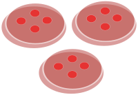 buttons