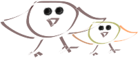 birds