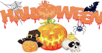 Halloween Decorations Background
