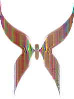 Airborne Lipid 13