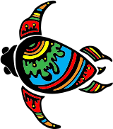 Colorful Turtle