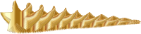 Golden Shooting Star