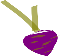 turnip