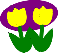 tulips