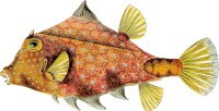 Fish 4