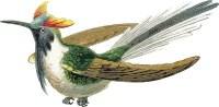 Bird