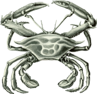 Crab