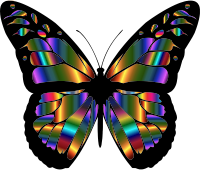 Iridescent Monarch Butterfly