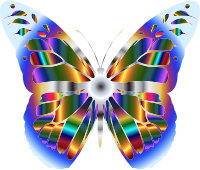 Iridescent Monarch Butterfly 4