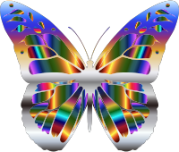 Iridescent Monarch Butterfly 5