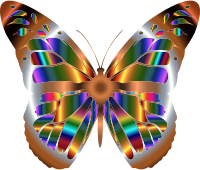 Iridescent Monarch Butterfly 6