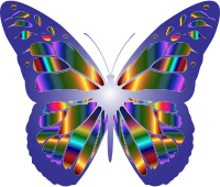 Iridescent Monarch Butterfly 9