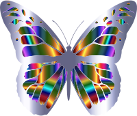 Iridescent Monarch Butterfly 10