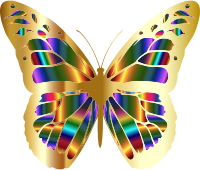 Iridescent Monarch Butterfly 11