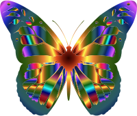 Iridescent Monarch Butterfly 12