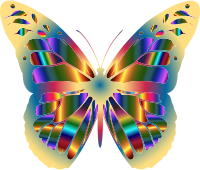 Iridescent Monarch Butterfly 14