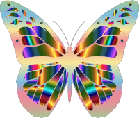 Iridescent Monarch Butterfly 16