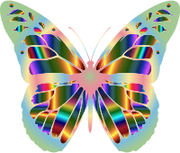 Iridescent Monarch Butterfly 17