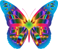 Iridescent Monarch Butterfly 18