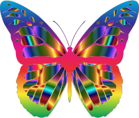 Iridescent Monarch Butterfly 19
