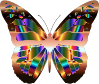 Iridescent Monarch Butterfly 20