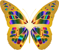 Iridescent Monarch Butterfly 21