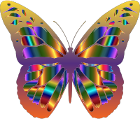 Iridescent Monarch Butterfly 22