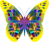 Iridescent Monarch Butterfly 24