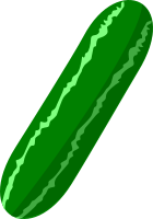 Cucumber