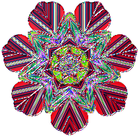 Psychedelic Celestial Orchid