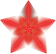 Cosmic Zest 19