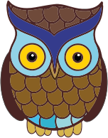 Wide Eyed Owl
