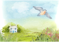 Tranquil Scenery