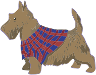 Scottish Terrier