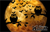 Happy Halloween Full Moon Background