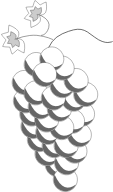 Grapes Line Art