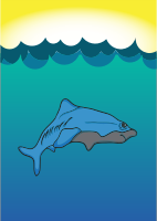 Cartoon Shark