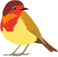 Bird Looking Over Its Shoulder
