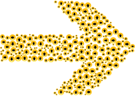 Confusion Arrow