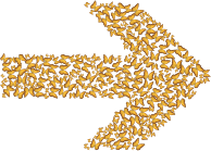 Chaotic Butterflies Arrow