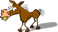 Crazy Horse - Colored