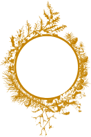 Christmas frame (golden)
