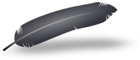 Black feather