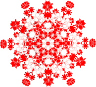 Floral Design