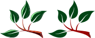 Two Branches With Leaves