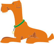 Dog Profile